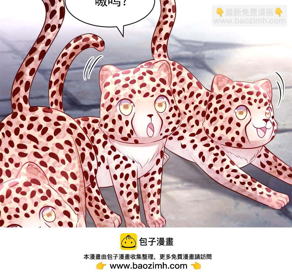 673(1/2)-第675话