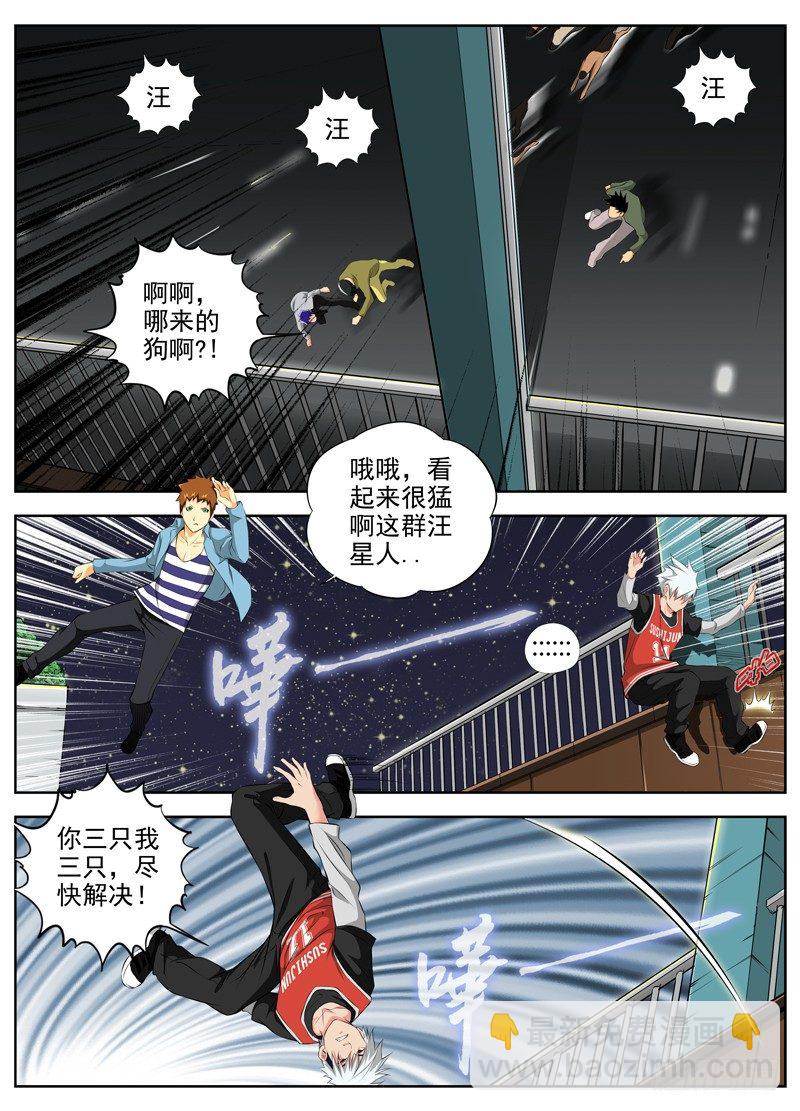 🍵白灵杀手 55.六条狗 第4页