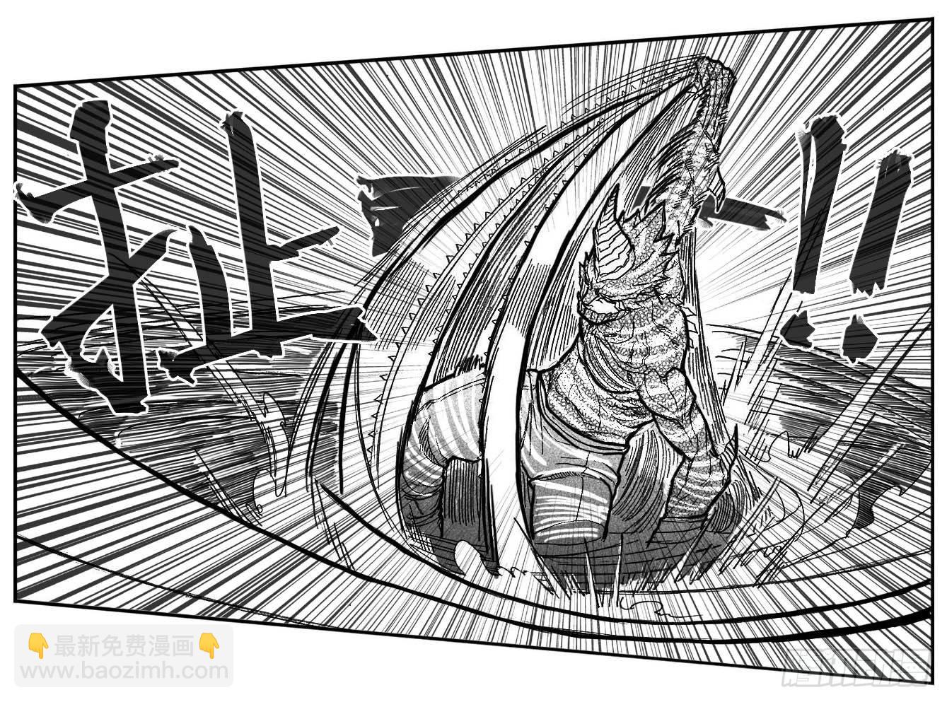 🍵白门五甲 89铁铳_上 第11页