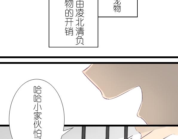 第11话 来养仓鼠吧-第13话