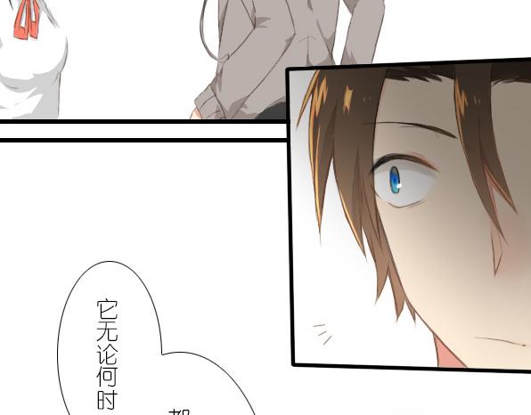 番外 熊兔（2）-第37话