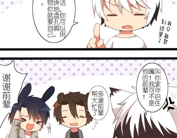 番外 熊兔（6）-第41话