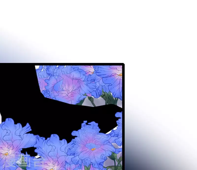🍵白箬仙 第57话 花海，妍儿 第41页