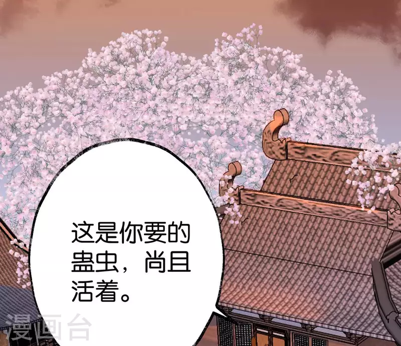 🍵白箬仙 第63话 求证 第2页