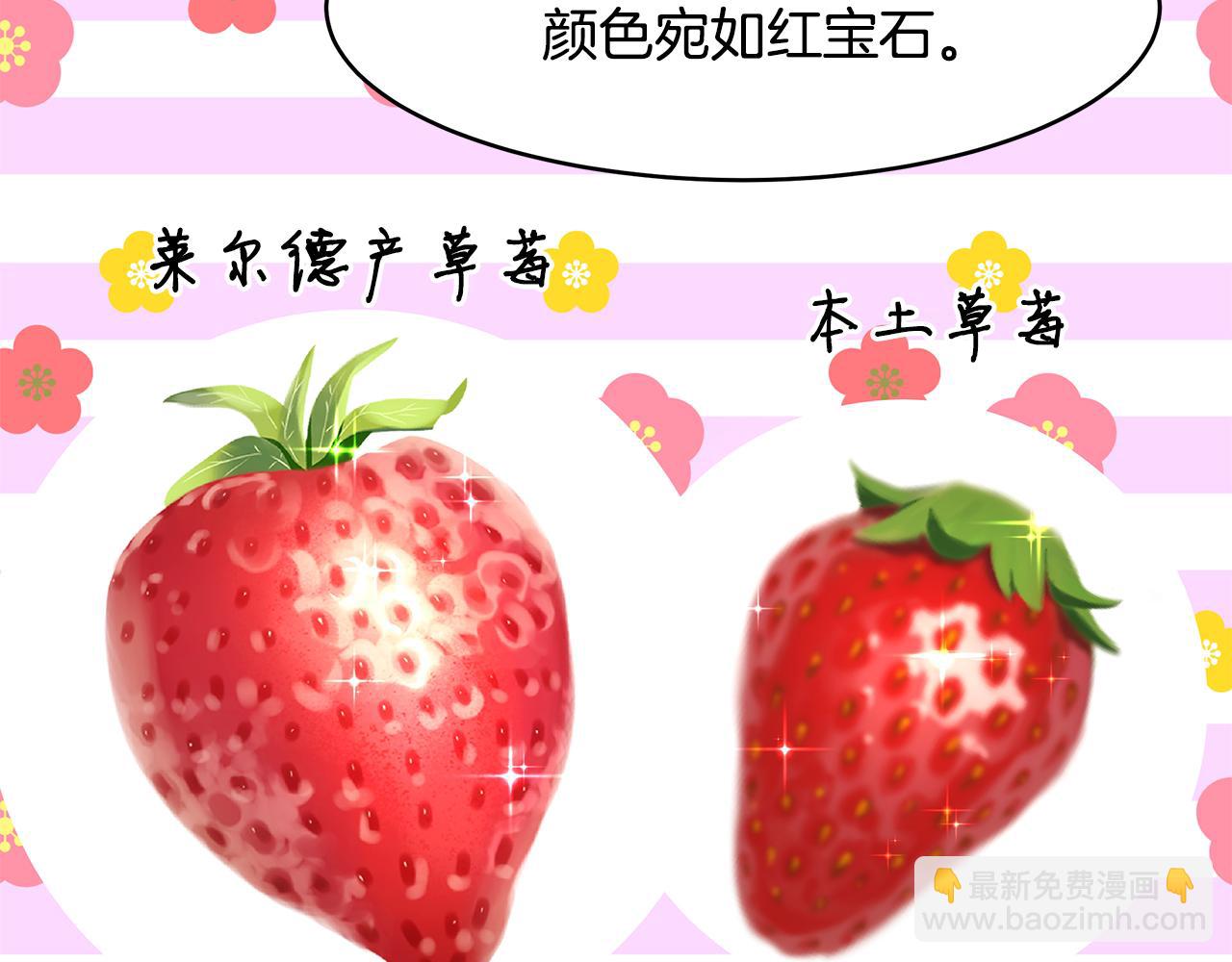 第20话 帅气的侯爵夫人(1/3)-第21话