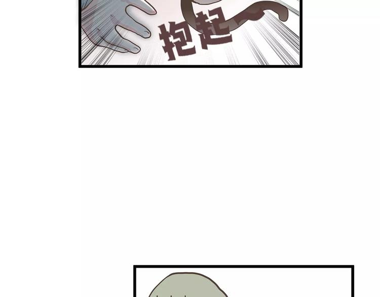 第25话原来观棋大人是猫奴呀！-第25话
