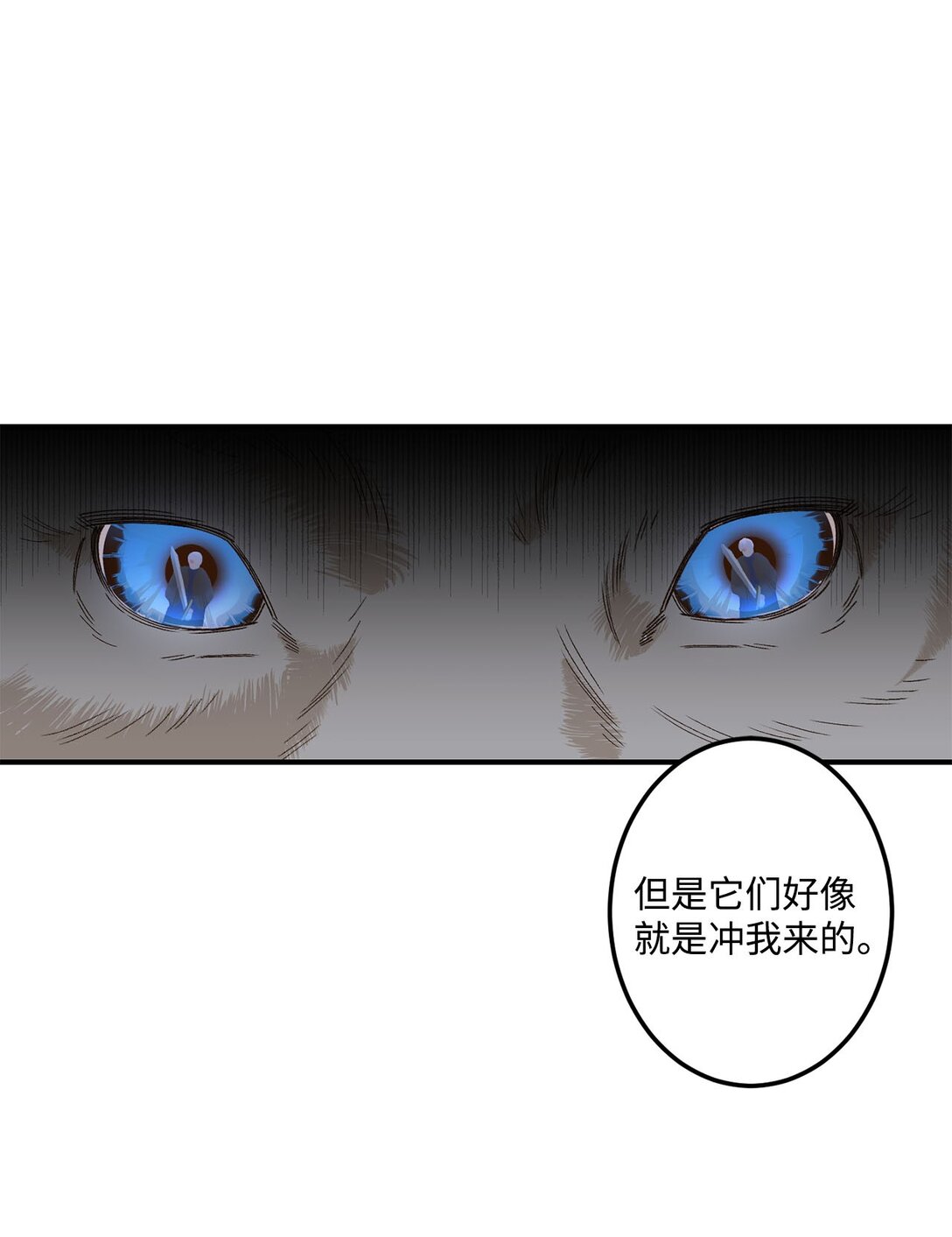 03 遇见白鼬(1/2)-第3话