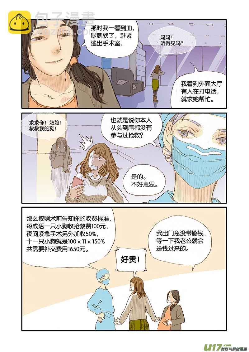001犬剖宫产-第1话