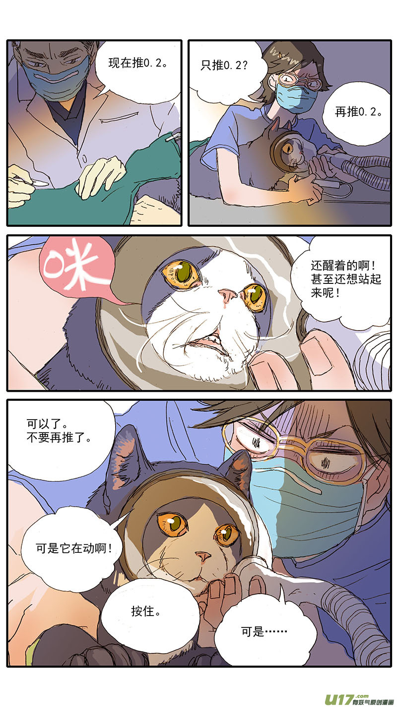 103 麻醉方法的选择-第103话