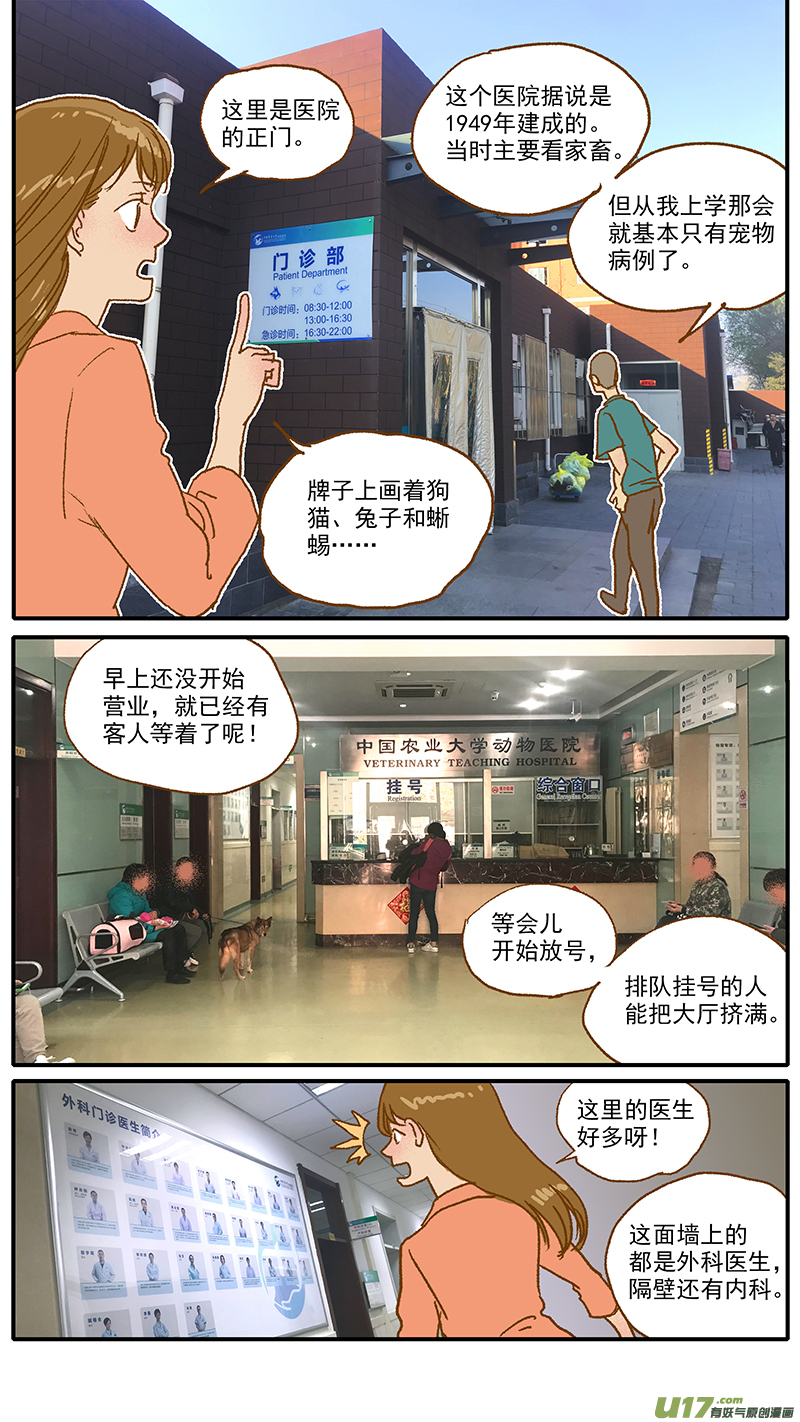 107 中国农业大学动物医院-第107话