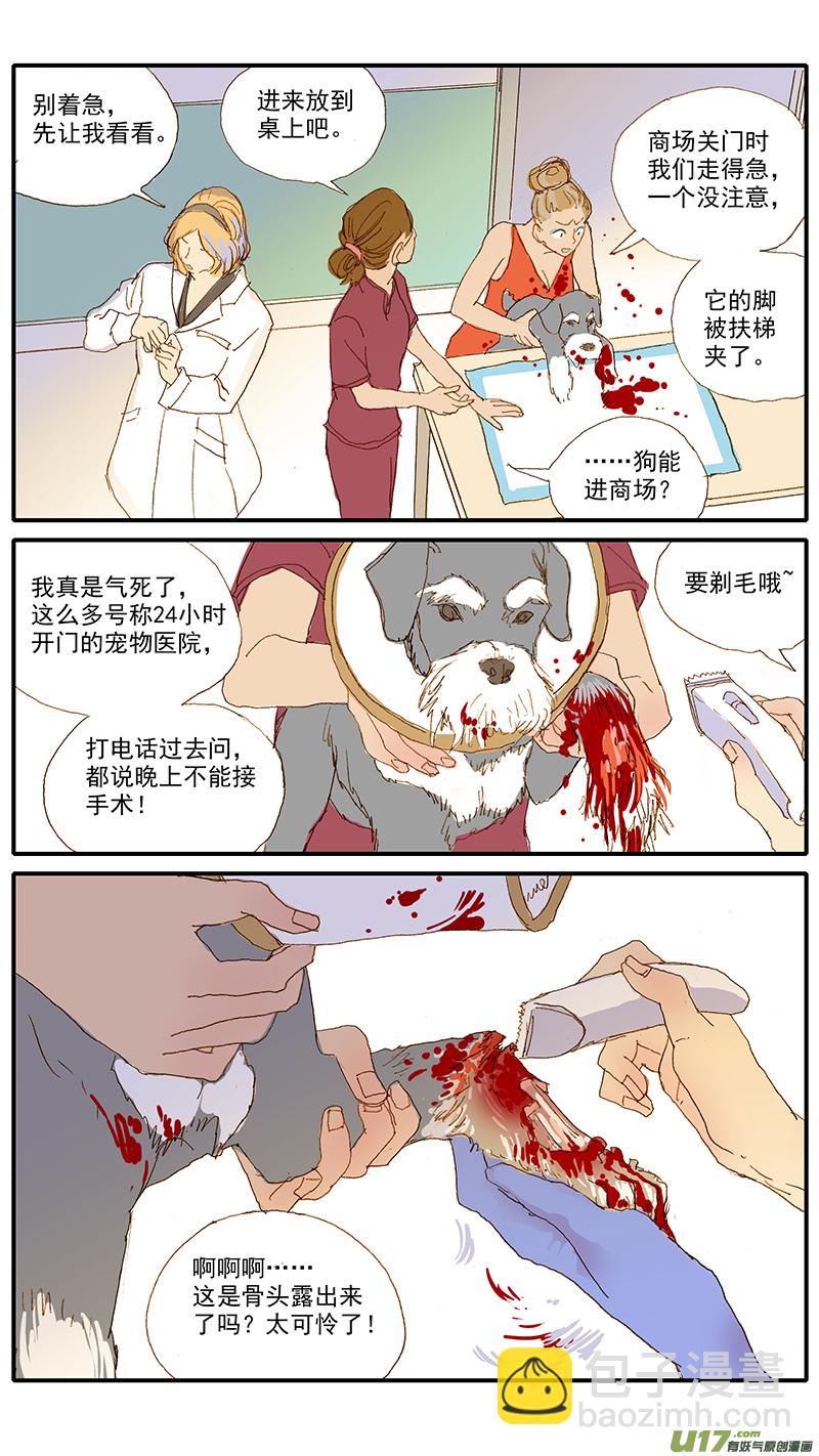 115 袖套状撕脱（管形皮瓣术）-第115话