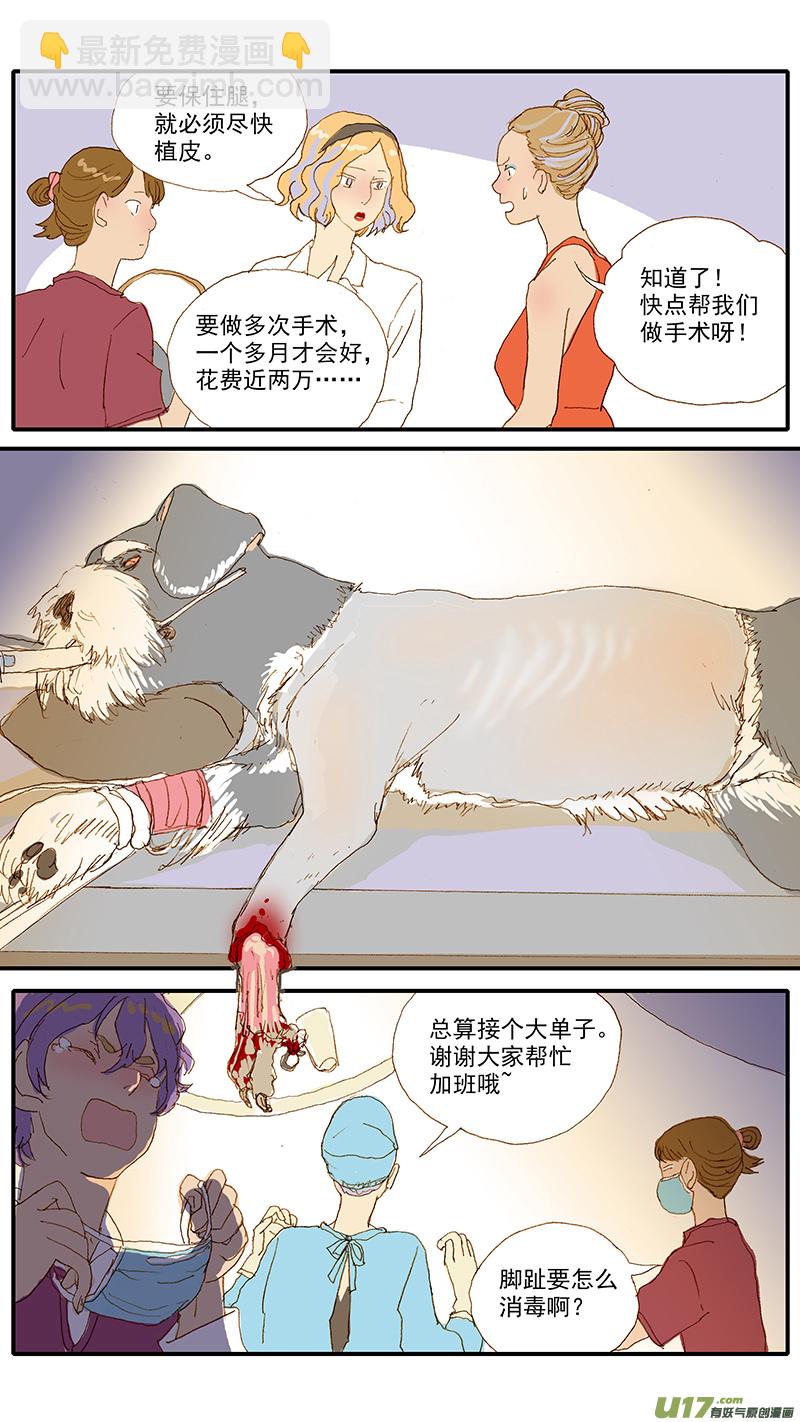 115 袖套状撕脱（管形皮瓣术）-第115话