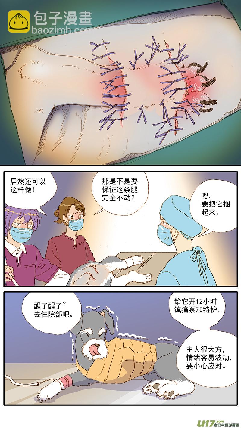 115 袖套状撕脱（管形皮瓣术）-第115话