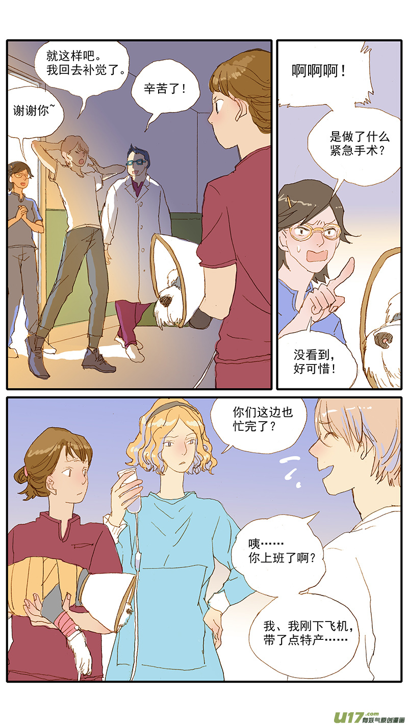 115 袖套状撕脱（管形皮瓣术）-第115话