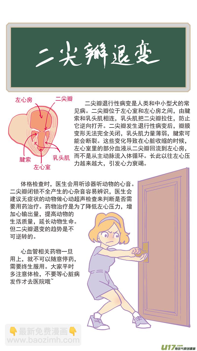 121 二尖瓣退行性病变-第121话