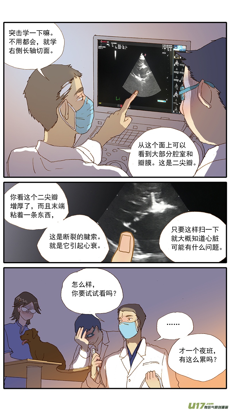 121 二尖瓣退行性病变-第121话