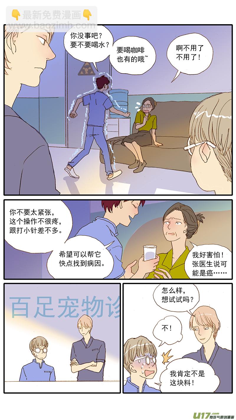 123 猫嗜酸性肠炎-第123话