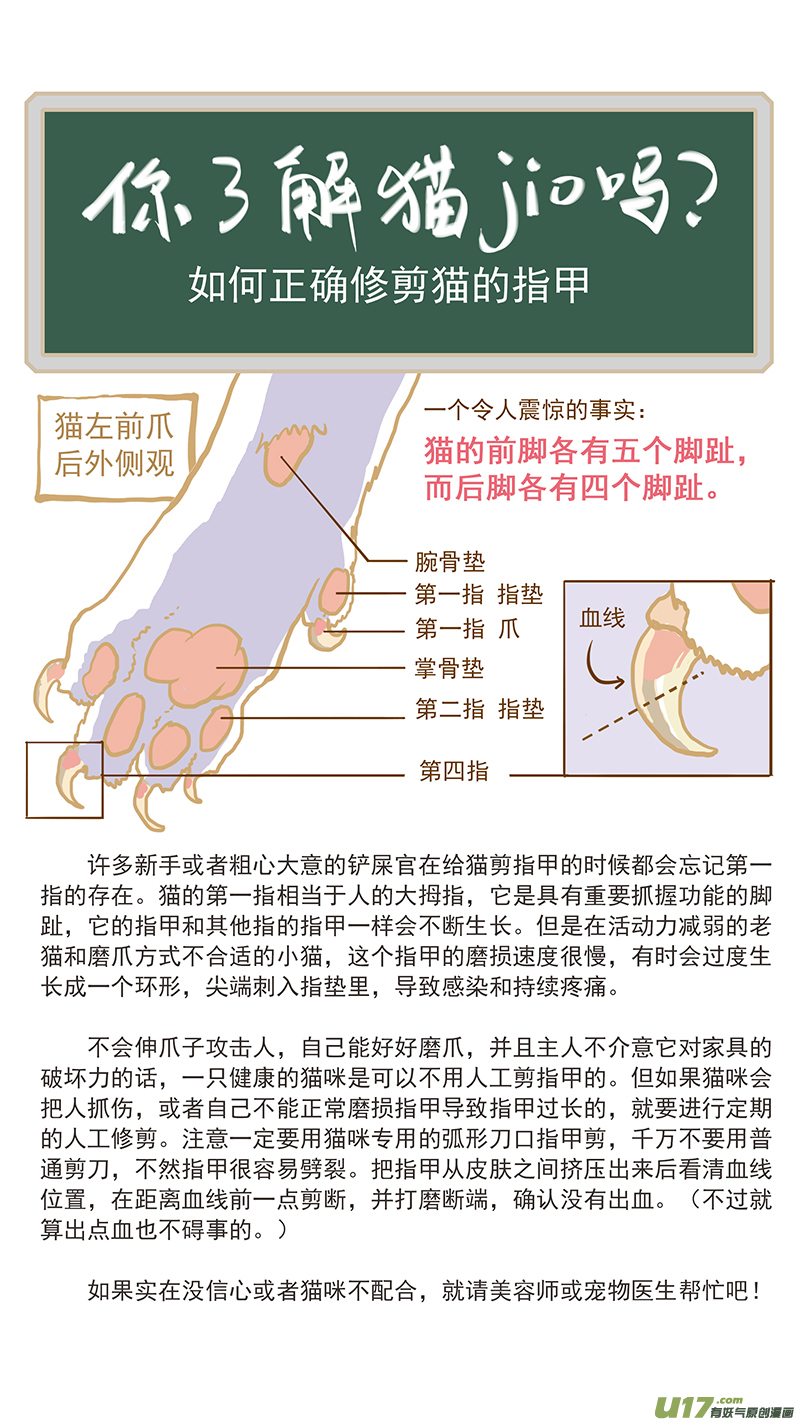 125 猫指甲过长-第125话