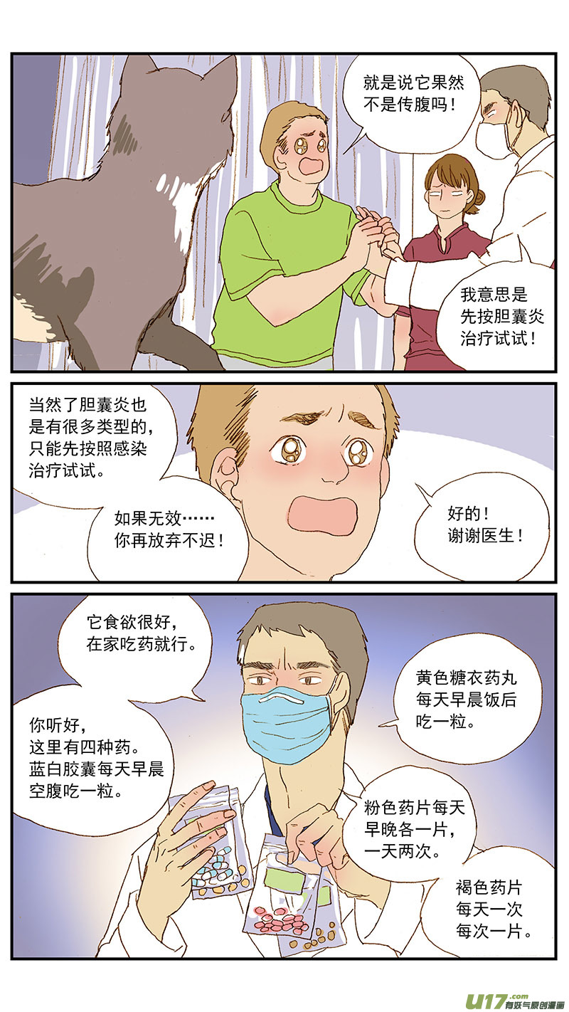131 猫胆囊炎-第131话