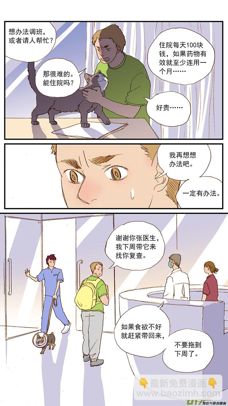 131 猫胆囊炎-第131话
