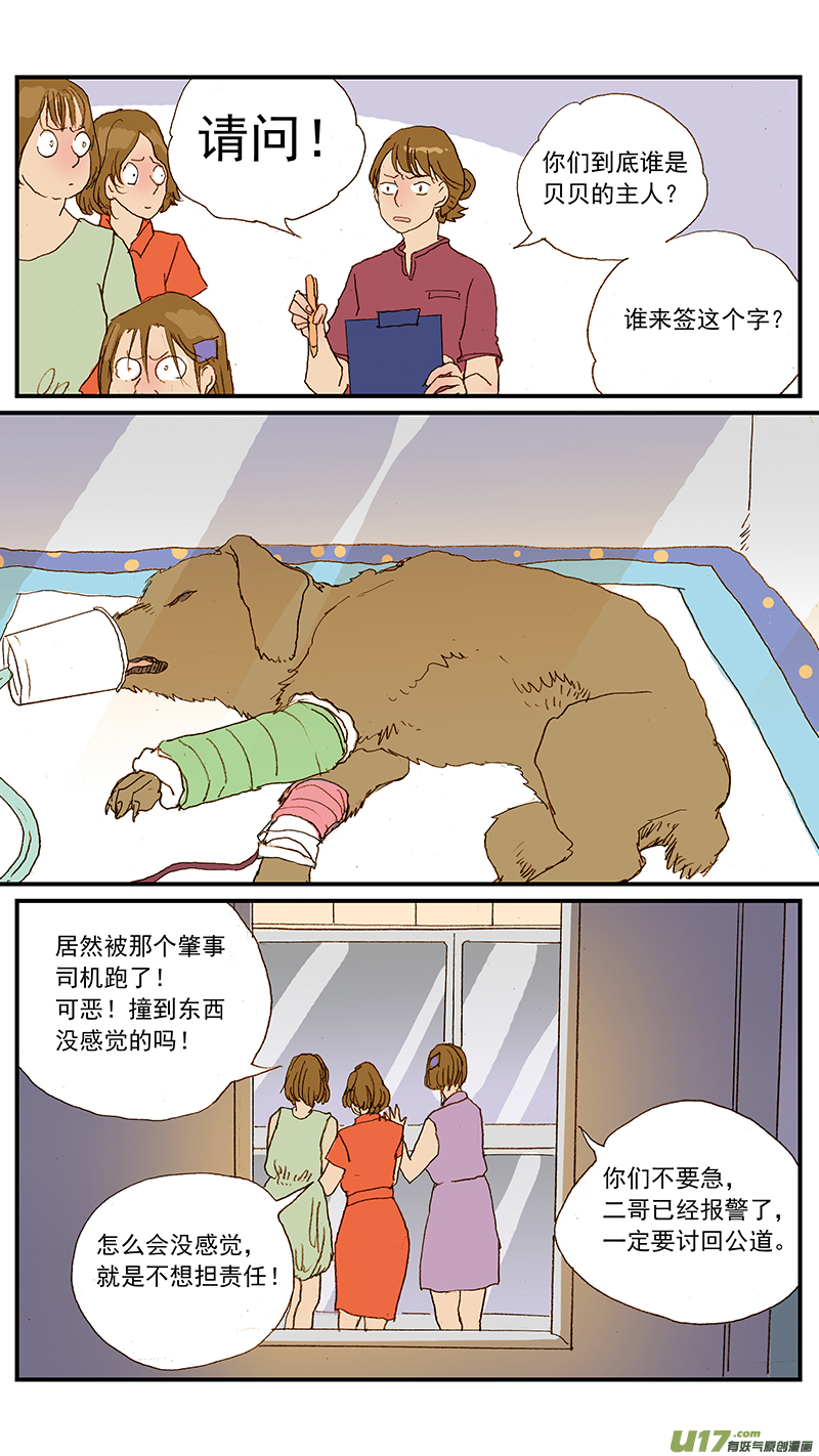 133 宠物医疗的定价-第133话