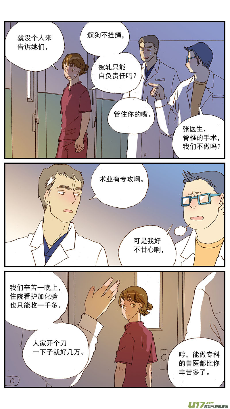 133 宠物医疗的定价-第133话