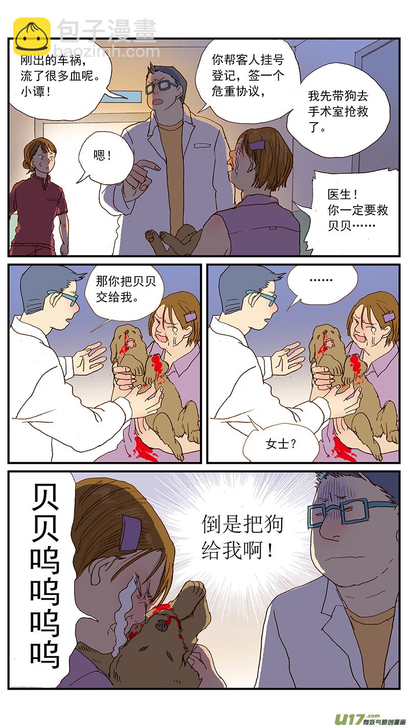 133 宠物医疗的定价-第133话