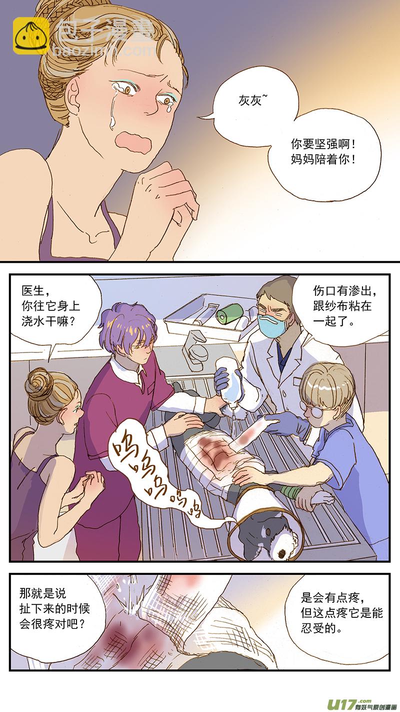 142 宠物诊疗机构公示看板-第143话