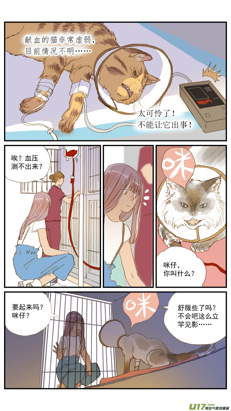 154 免疫介导性溶血性贫血-第155话