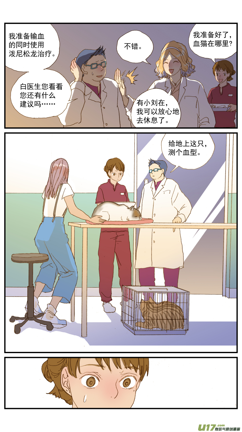 154 免疫介导性溶血性贫血-第155话