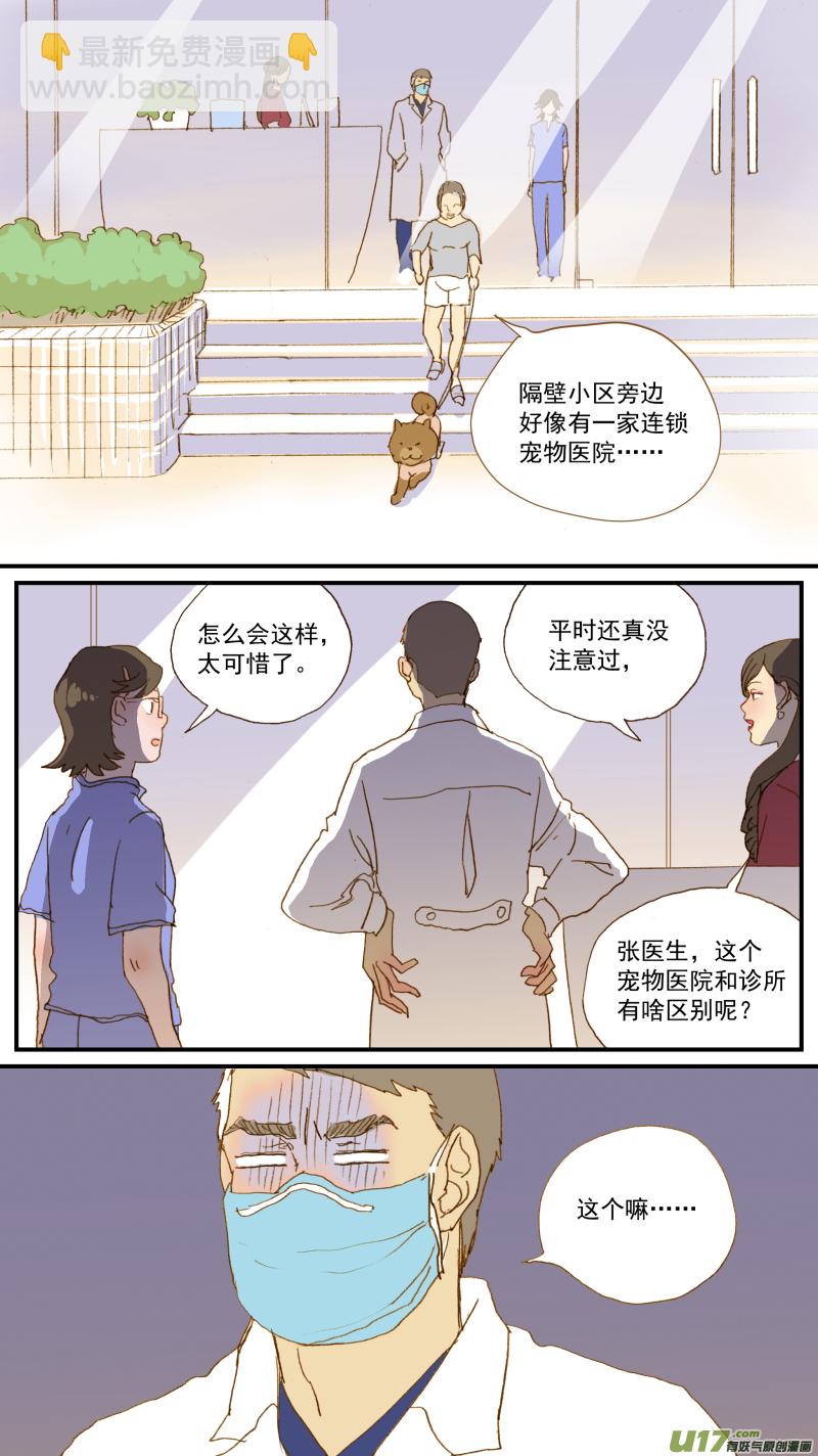 156 宠物医院和宠物诊所的区别-第157话