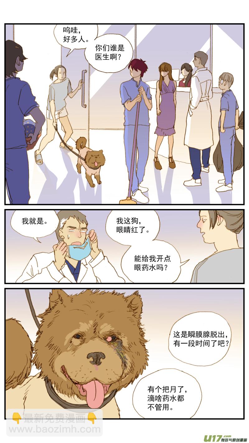 156 宠物医院和宠物诊所的区别-第157话
