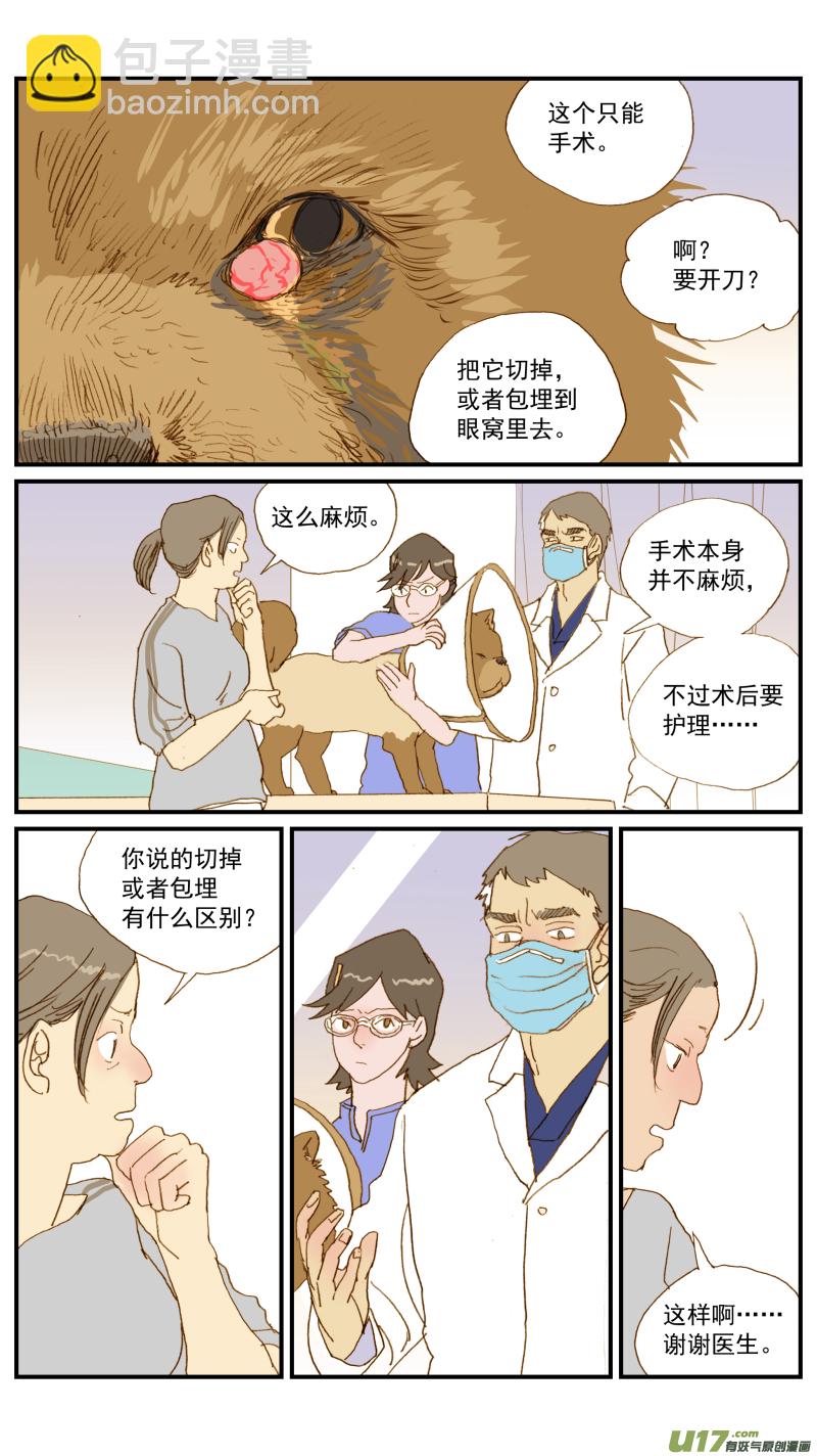 156 宠物医院和宠物诊所的区别-第157话