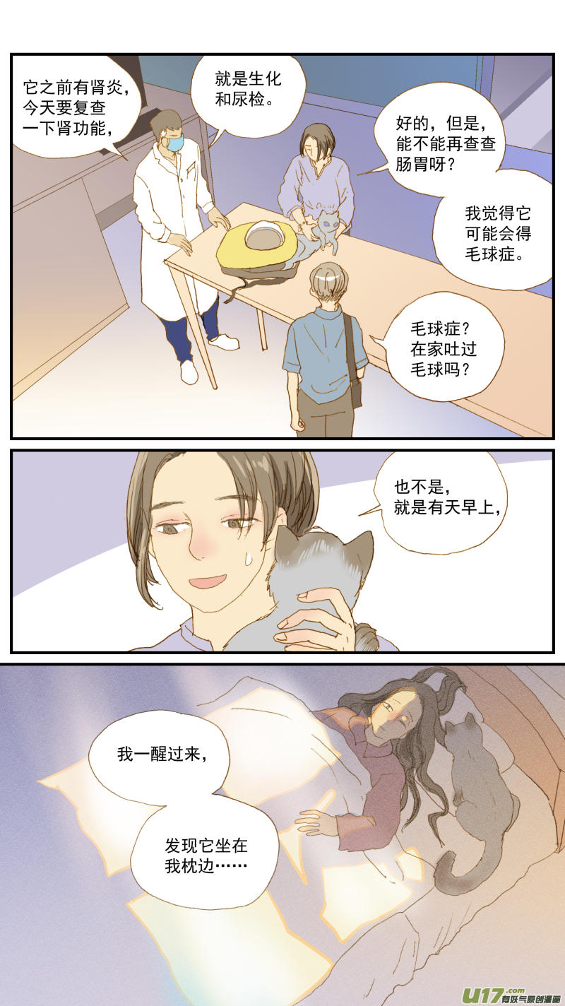 162 猫毛球症-第163话