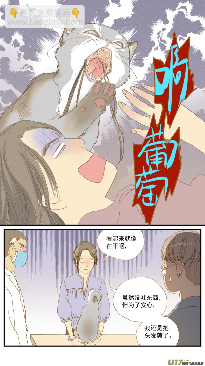 162 猫毛球症-第163话