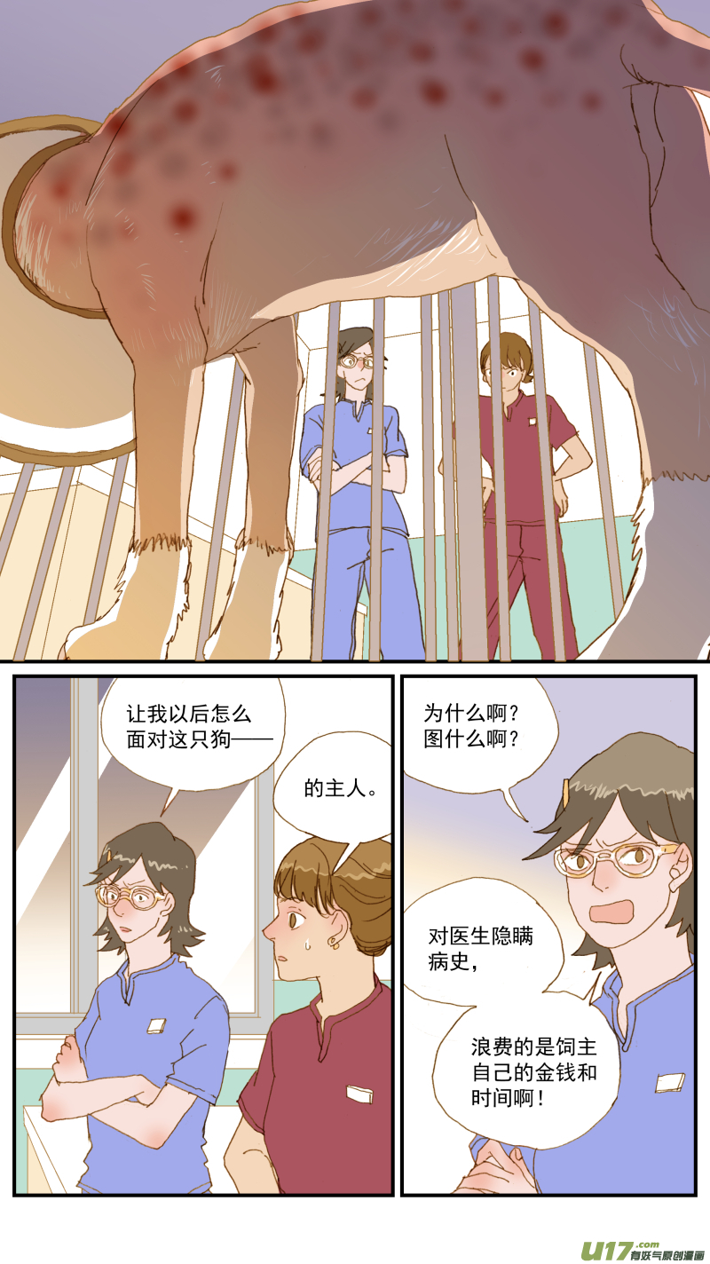 164 细菌培养和药敏试验-第165话