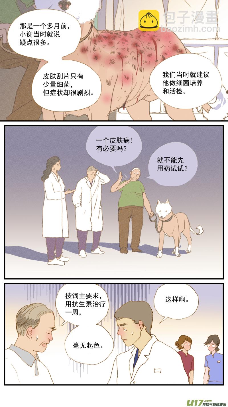 164 细菌培养和药敏试验-第165话