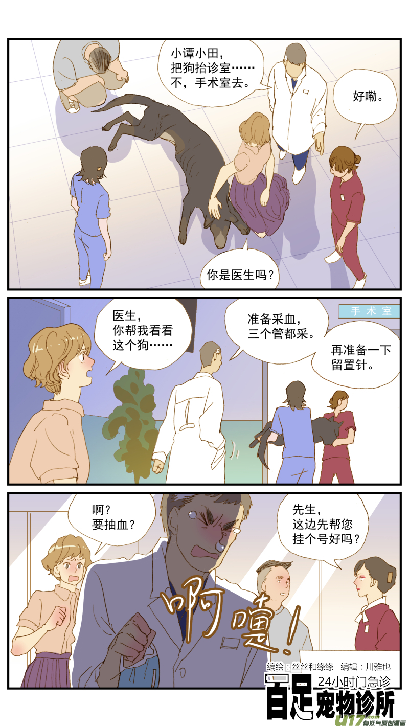 168 犬糖尿病-第169话