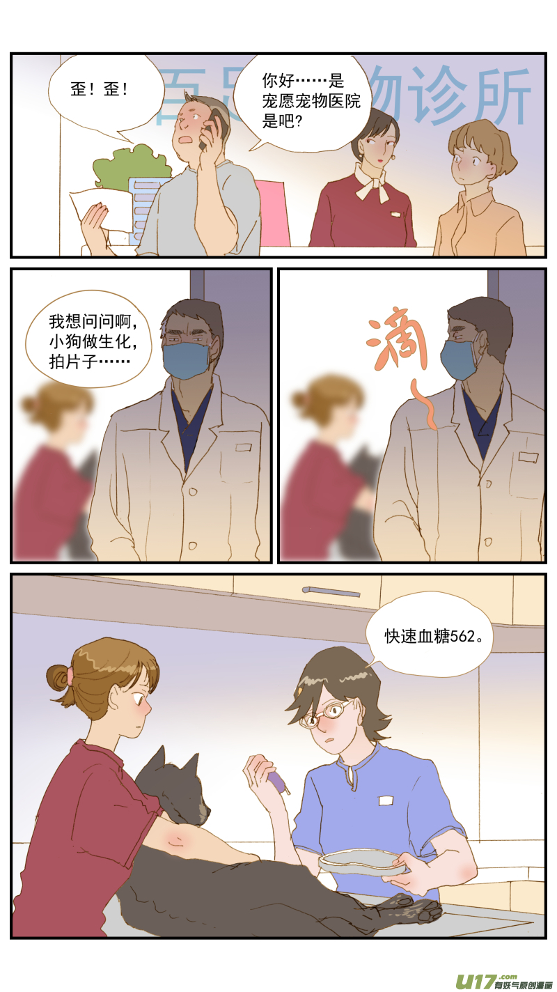 168 犬糖尿病-第169话