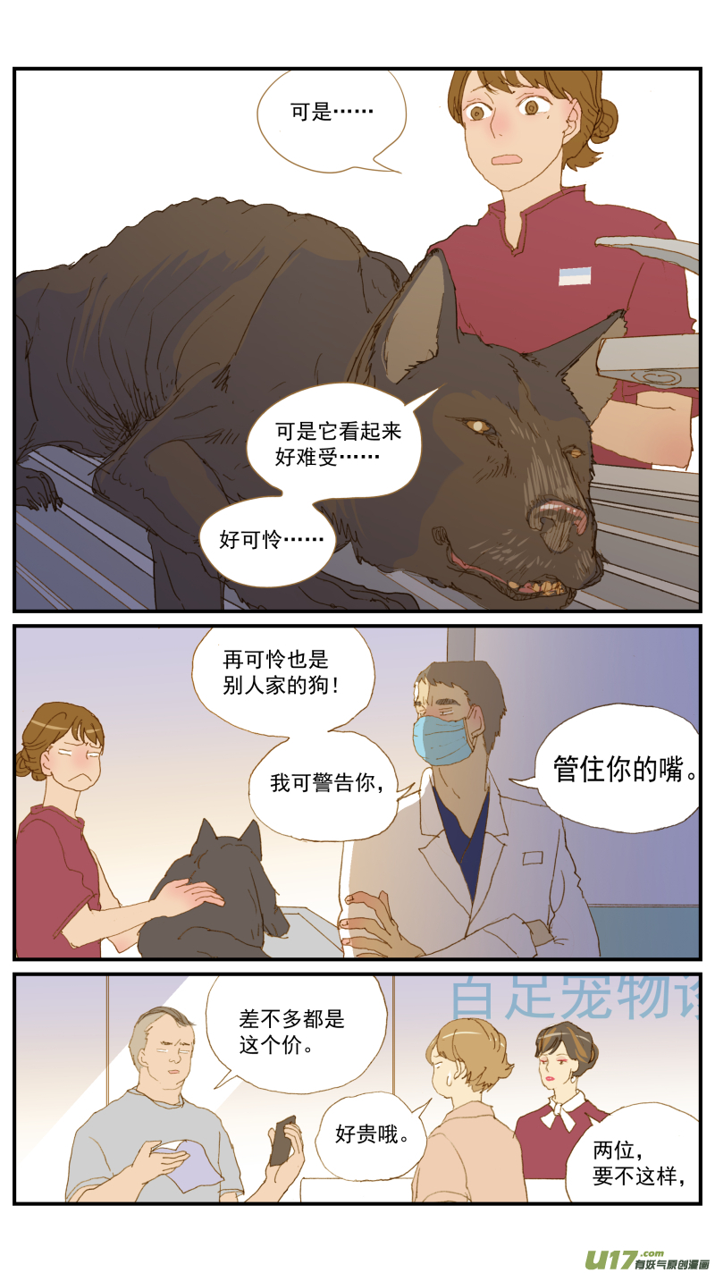 168 犬糖尿病-第169话
