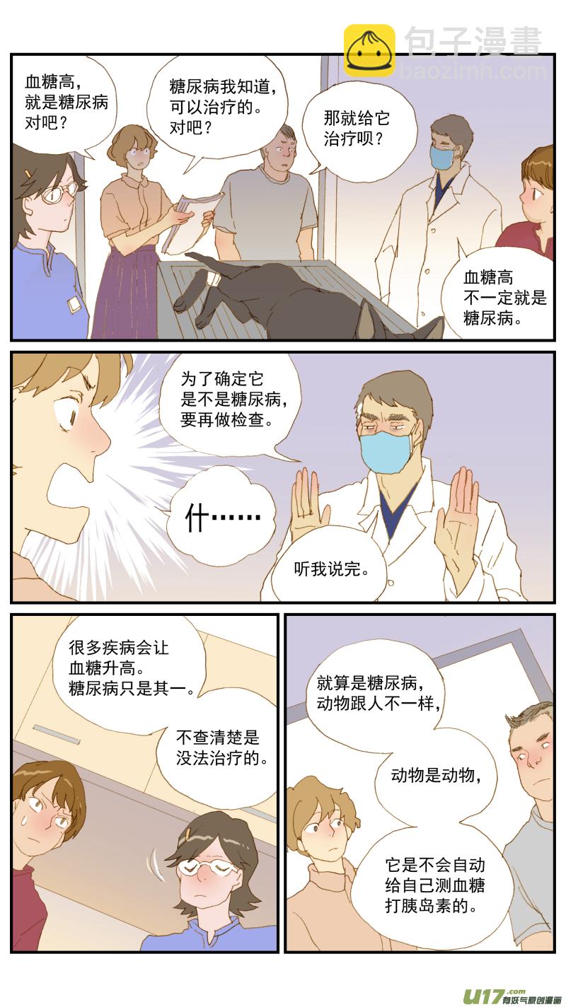 168 犬糖尿病-第169话
