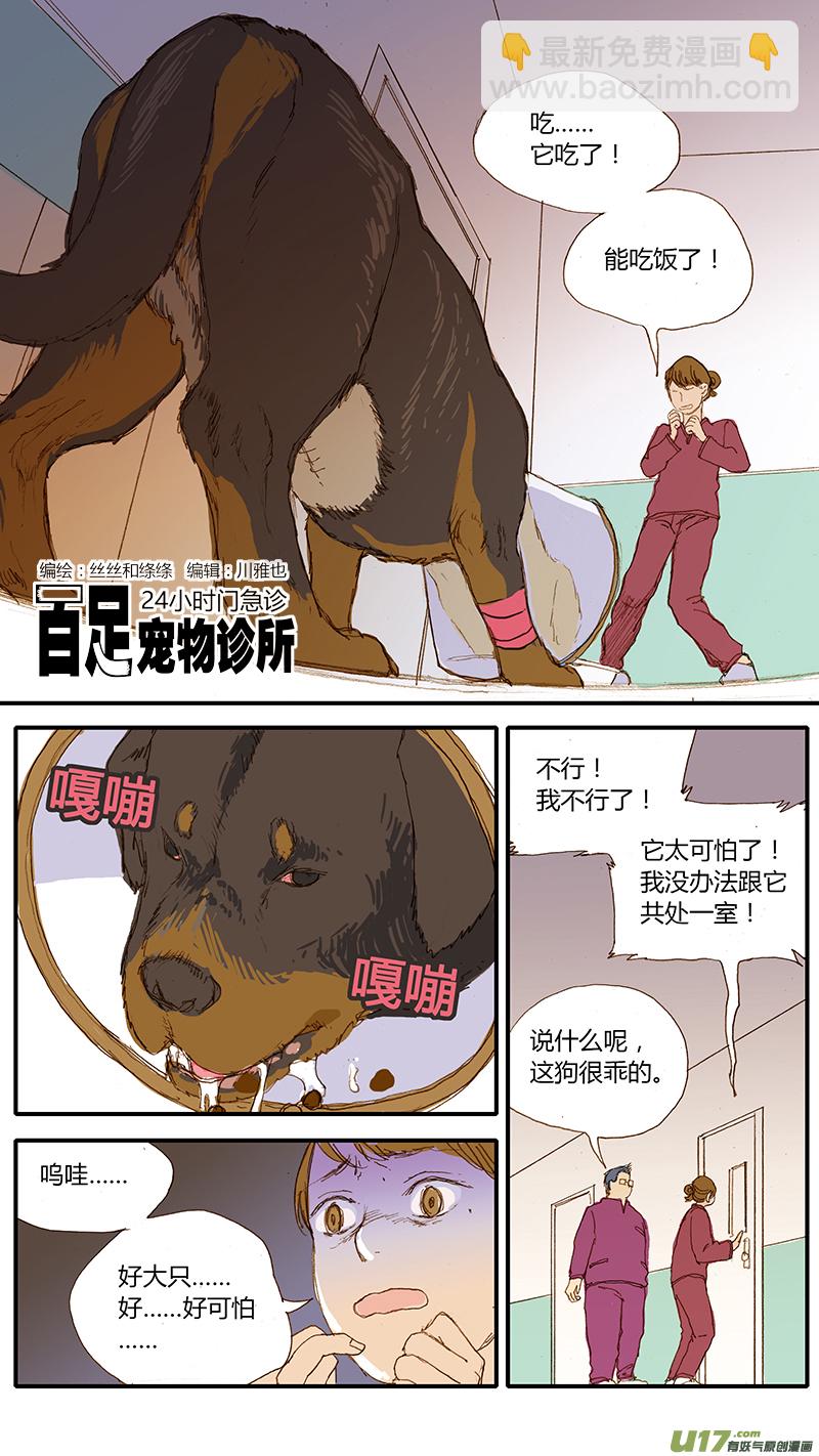031 仔犬断尾-第31话