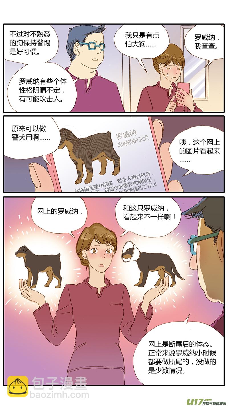 031 仔犬断尾-第31话