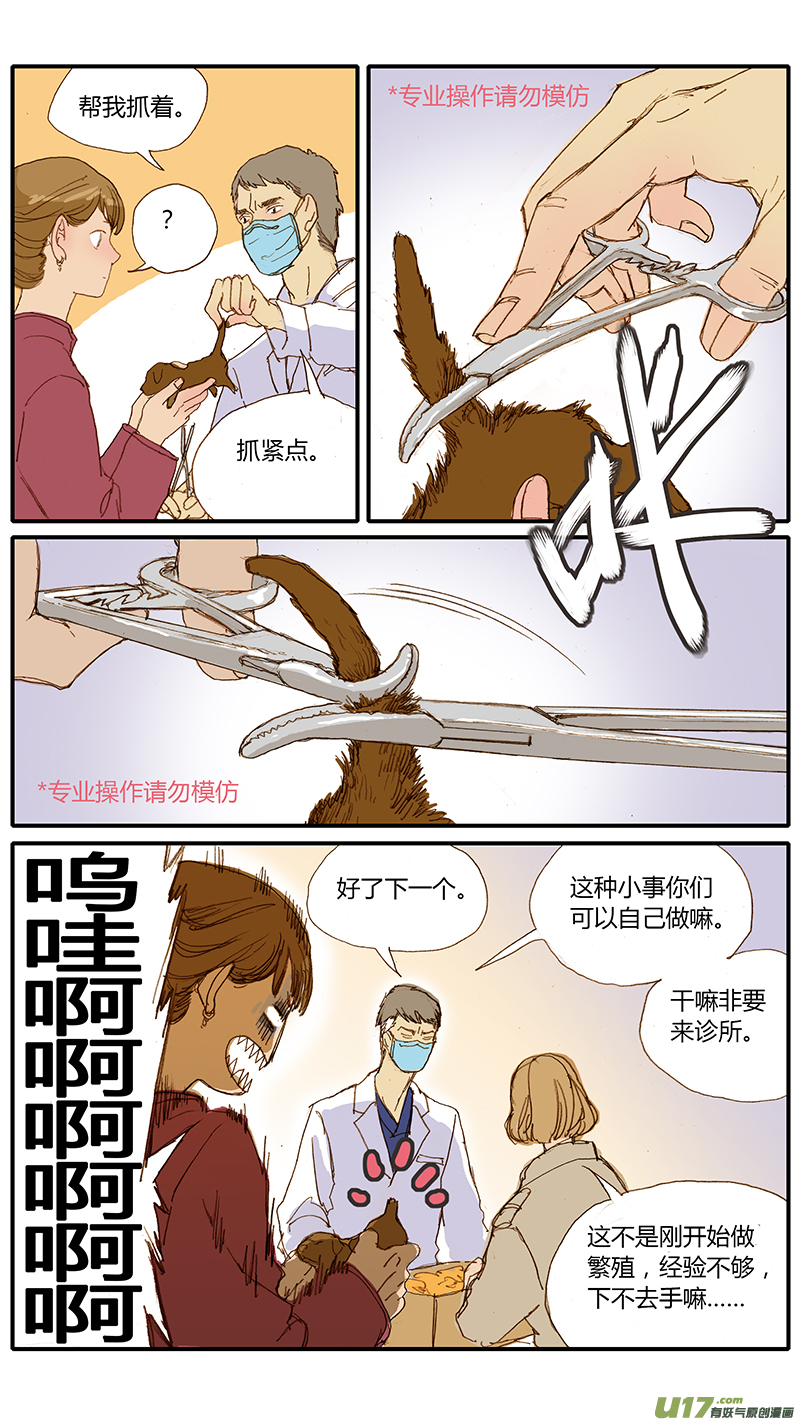 031 仔犬断尾-第31话