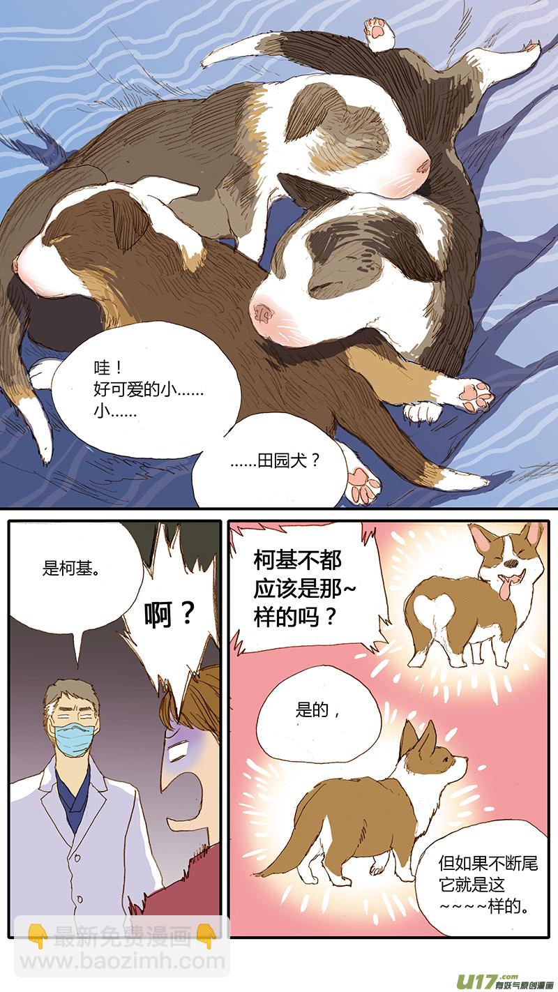 031 仔犬断尾-第31话