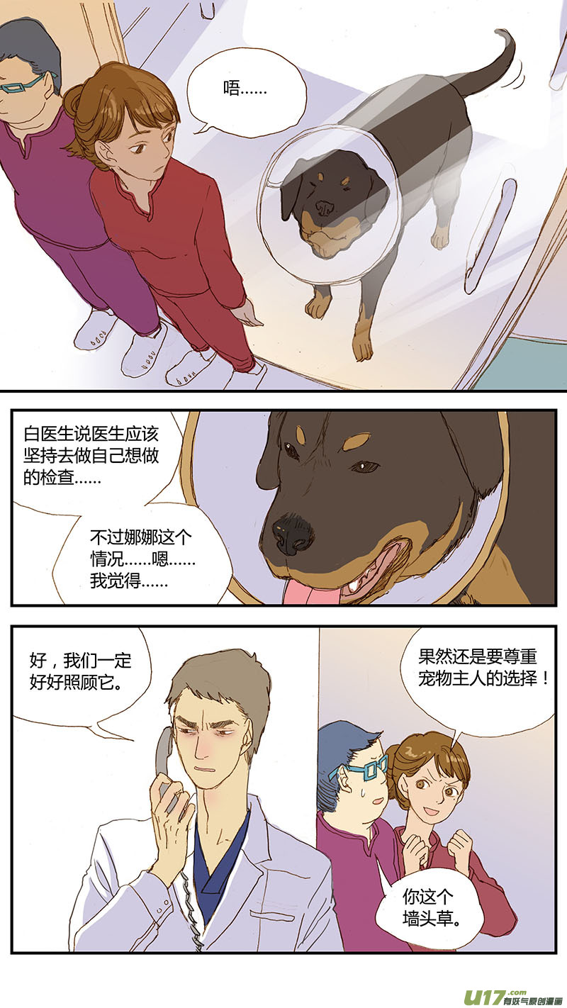 033 犬库欣氏症-第33话