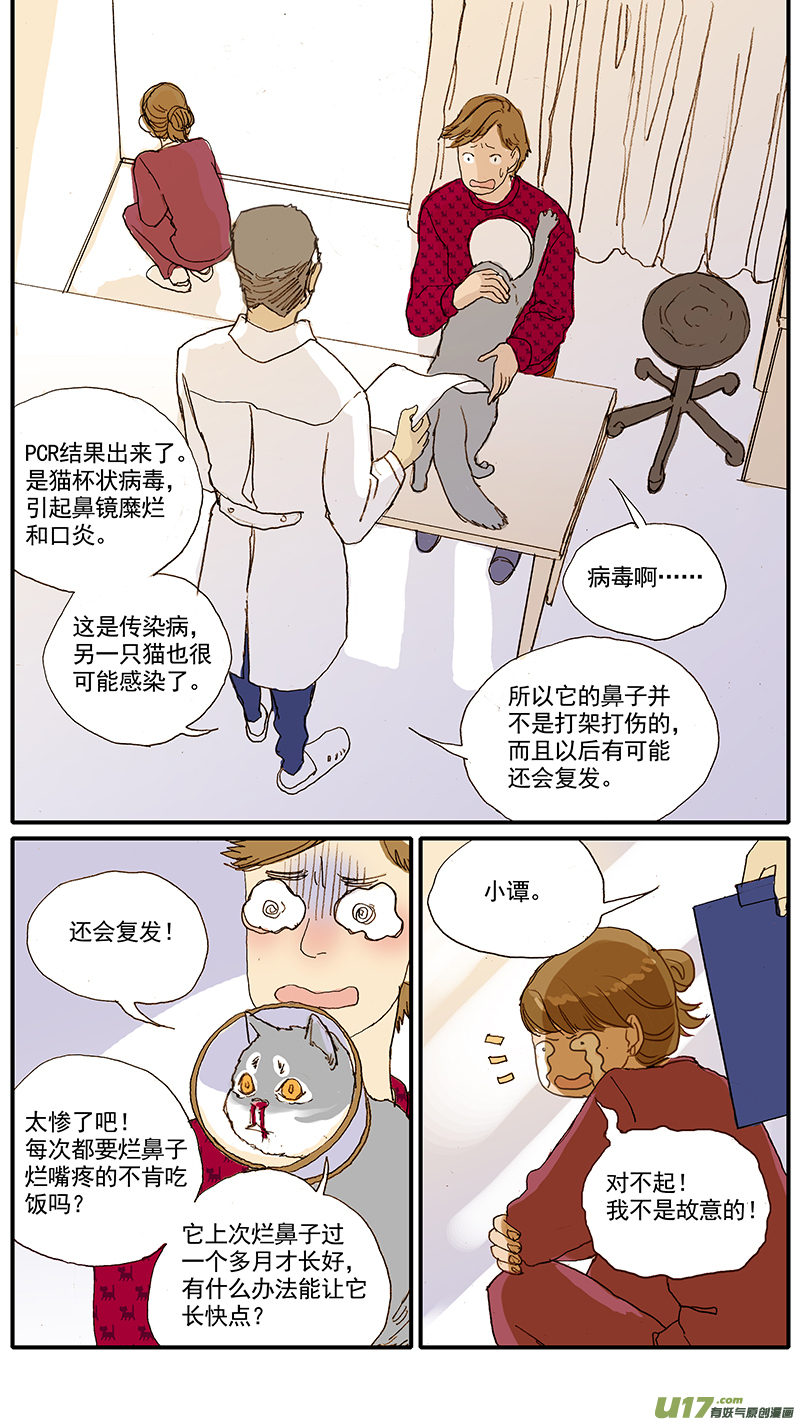 037 猫杯状病毒-第37话