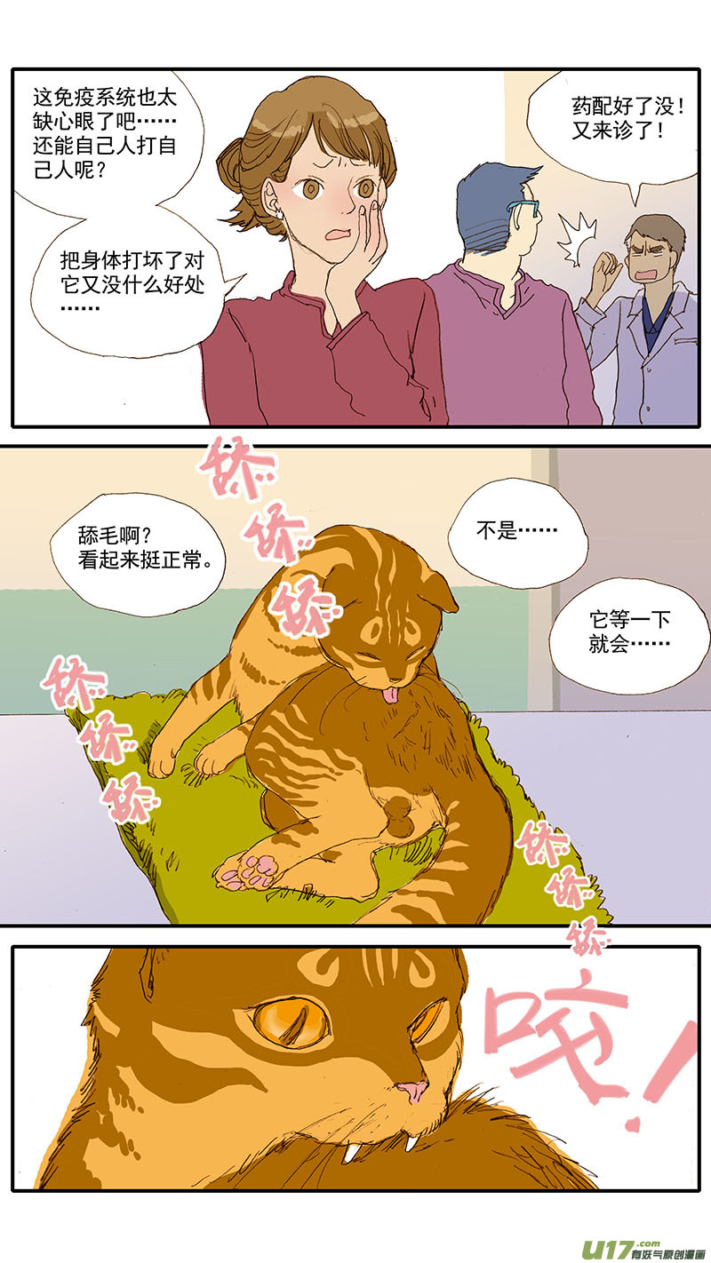 037 猫杯状病毒-第37话