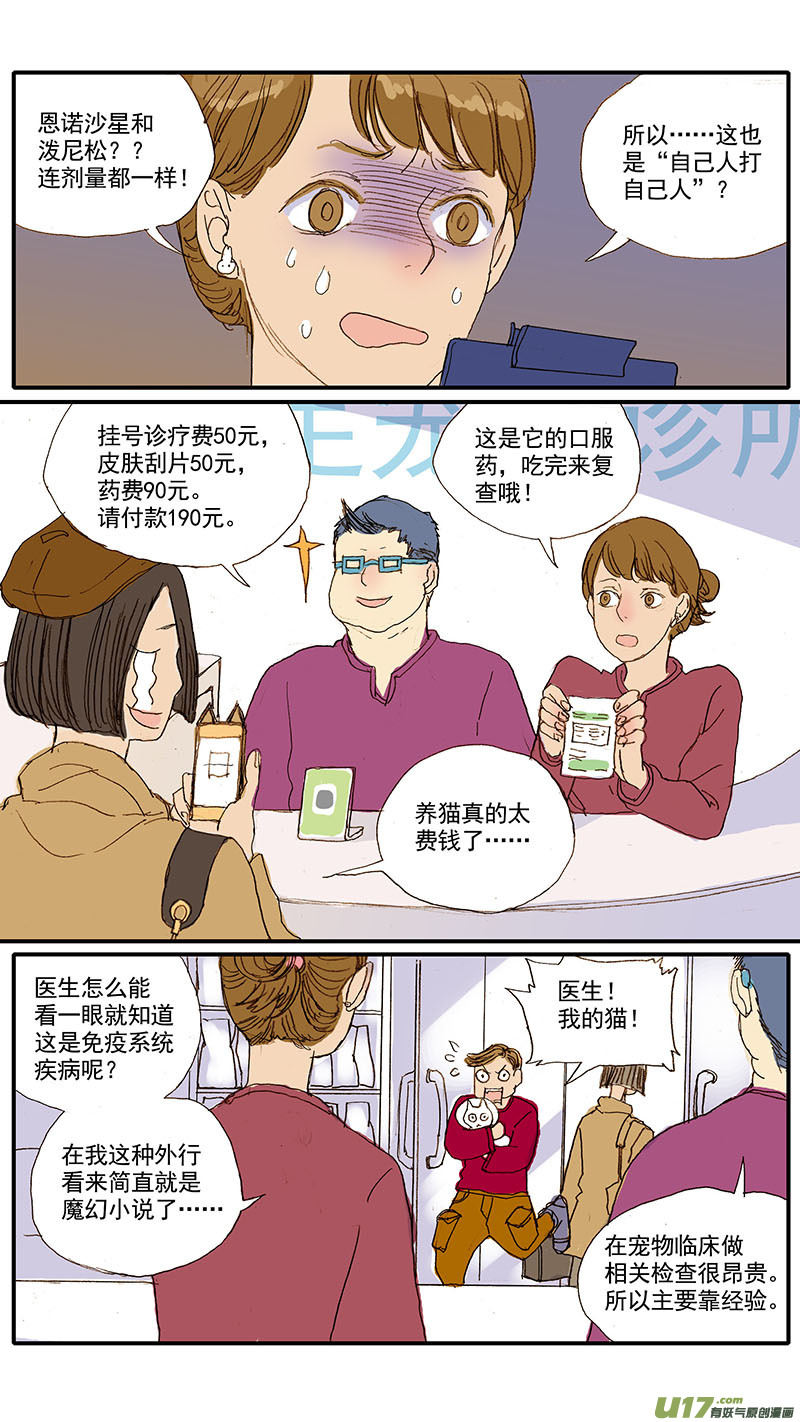 037 猫杯状病毒-第37话