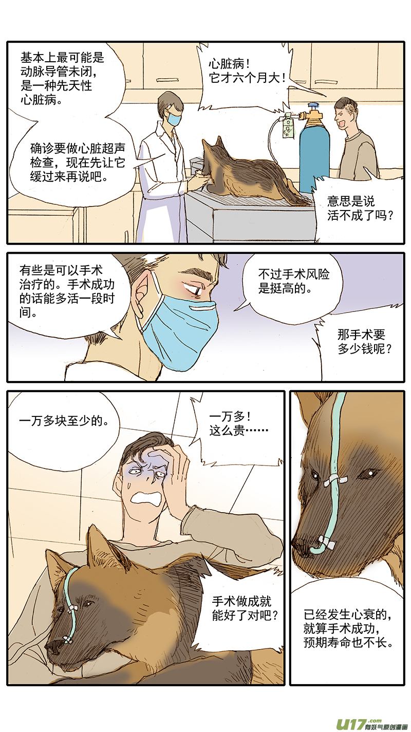 043 动脉导管未闭-第43话